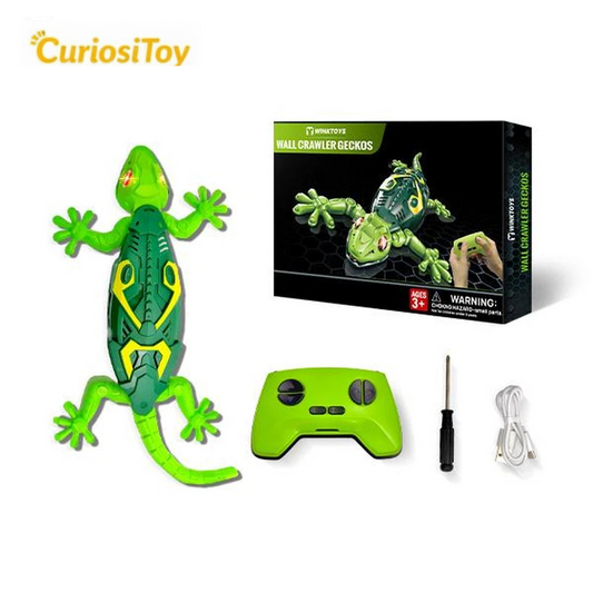 Curiositoy - le Gecko Grimpant